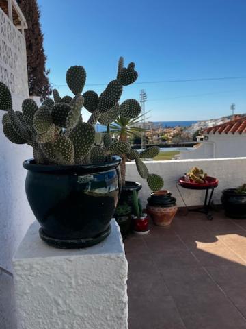 La Casa De Elisabeth Ferienhaus *